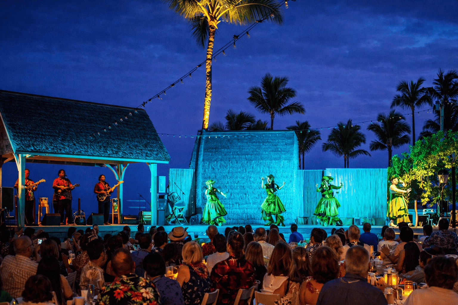 Luau Setting