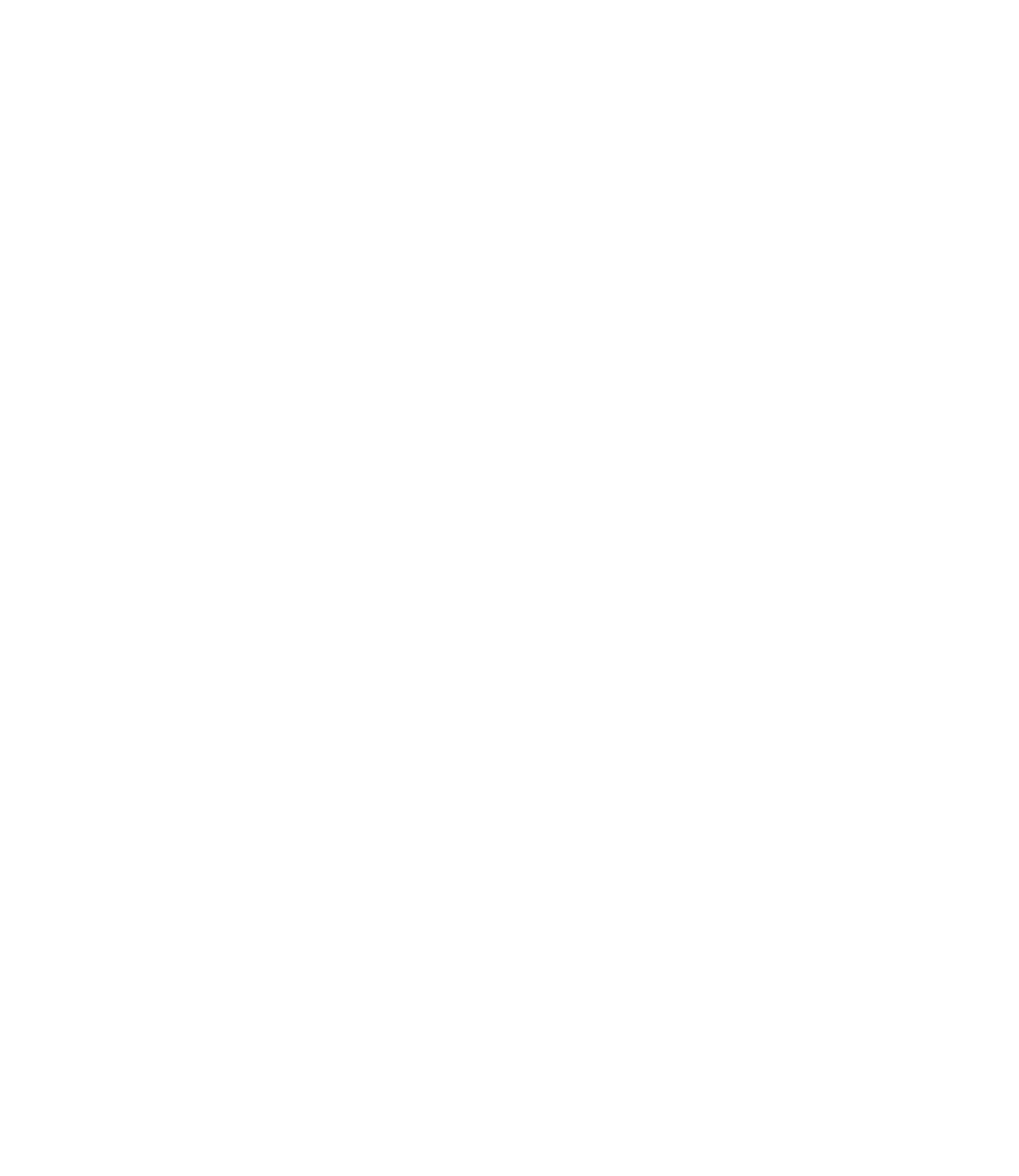 Big Island silhouette